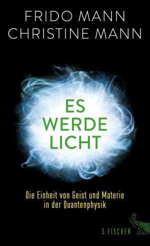 Cover of the book Es werde Licht by Peter Prange