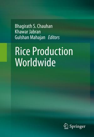 Cover of the book Rice Production Worldwide by Jae-young Lee, Shahram Payandeh