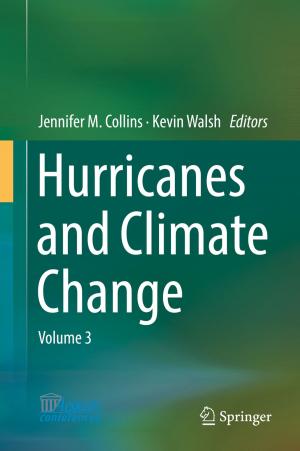 Cover of the book Hurricanes and Climate Change by François Beauducel