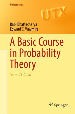 Cover of the book A Basic Course in Probability Theory by Endong Wang, Qing Zhang, Bo Shen, Guangyong Zhang, Xiaowei Lu, Qing Wu, Yajuan Wang