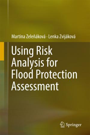 Cover of Using Risk Analysis for Flood Protection Assessment