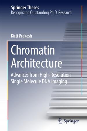 Cover of the book Chromatin Architecture by Gerhard Werner, D. Thorburn Burns, R. Klaus Müller, Reiner Salzer