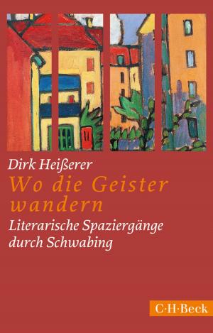 Cover of the book Wo die Geister wandern by Thomas Vogtherr