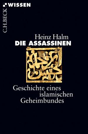 Cover of the book Die Assassinen by Wolfgang Hromadka
