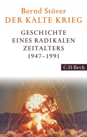 Cover of the book Der Kalte Krieg by Christian Hesse