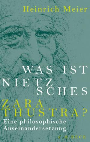 Cover of the book Was ist Nietzsches Zarathustra? by Cemil Aydin, R. Bin Wong, Sebastian Conrad, Jürgen Osterhammel