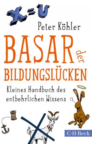 Cover of the book Basar der Bildungslücken by Francois Cheng