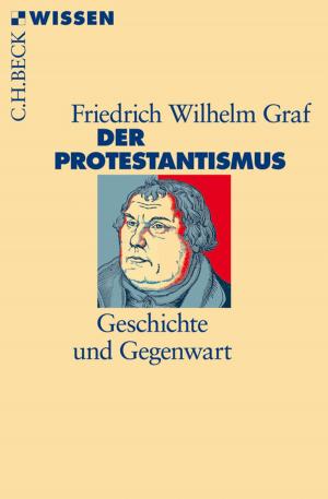 Cover of the book Der Protestantismus by Christoph Türcke
