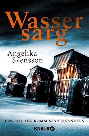 Cover of the book Wassersarg by Margit Schönberger