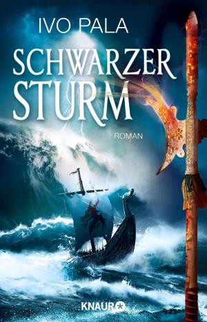 Book cover of Schwarzer Sturm