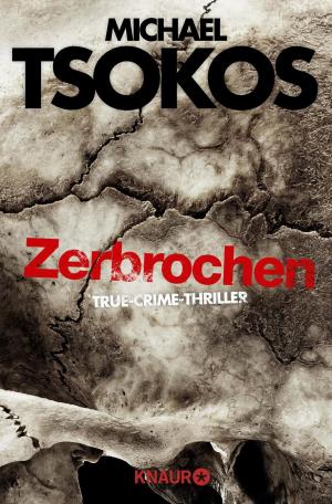 Book cover of Zerbrochen