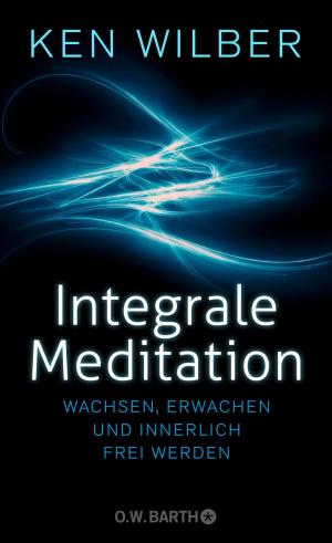 Book cover of Integrale Meditation