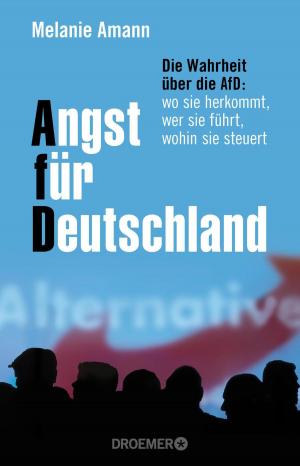 Cover of the book Angst für Deutschland by Patrick Gensing, Andrej Reisin