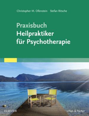 Cover of the book PraxisbuchHeilpraktiker für Psychotherapie by Sherrell J Aston, Douglas S Steinbrech, Jennifer L Walden, PhD, RN, NNP-BC, CCNS