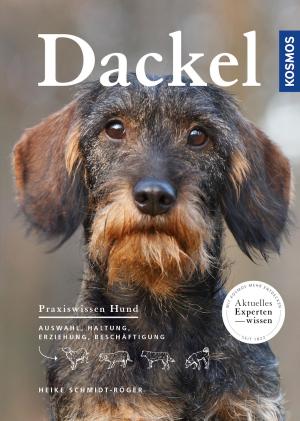 bigCover of the book Dackel by 