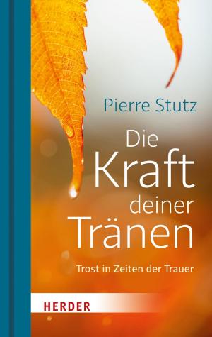 Cover of the book Die Kraft deiner Tränen by Walter Kasper