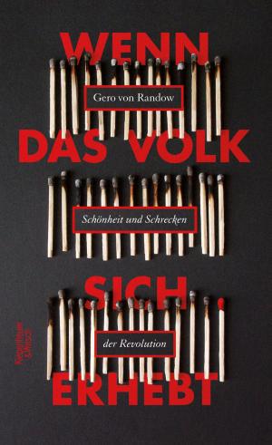 Cover of the book Wenn das Volk sich erhebt by Jonathan Briefs, Pascal Siemens
