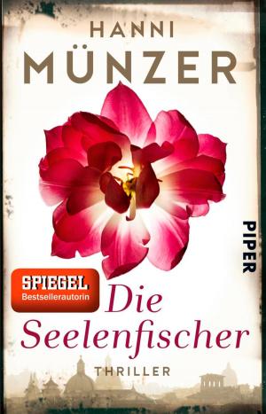 Cover of the book Die Seelenfischer by Hanni Münzer