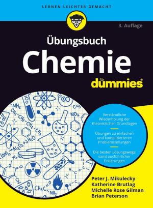 Cover of the book Übungsbuch Chemie für Dummies by Mitja Sardoc