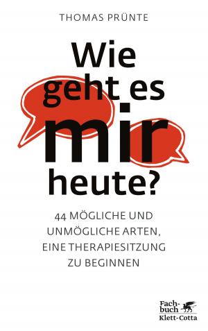 Cover of the book Wie geht es mir heute? by Stefano Bolognini, Michael Günter, Haydée Faimberg, Michael Buchholz