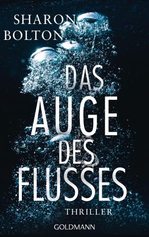 Cover of the book Das Auge des Flusses by Daniel Wolf
