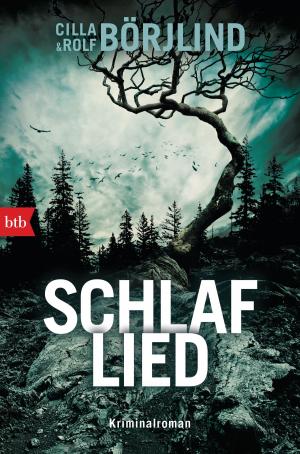 Cover of the book Schlaflied by Håkan Nesser