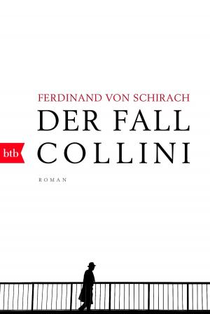 Cover of the book Der Fall Collini by Yrsa Sigurdardóttir