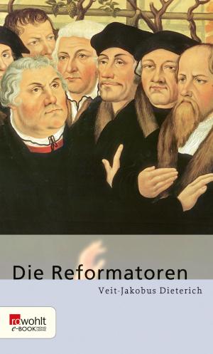 Cover of the book Die Reformatoren by Stewart O'Nan