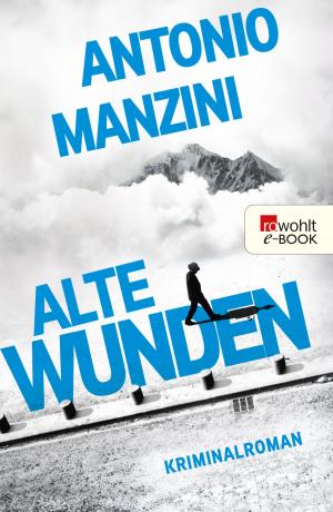 Cover of the book Alte Wunden by Janne Mommsen