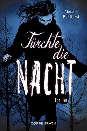 Cover of the book Fürchte die Nacht by Jutta Wilke