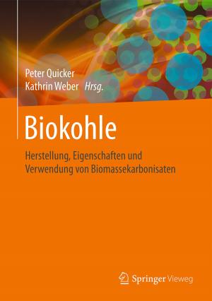 Cover of the book Biokohle by Markus H. Dahm, Aaron D. Brückner