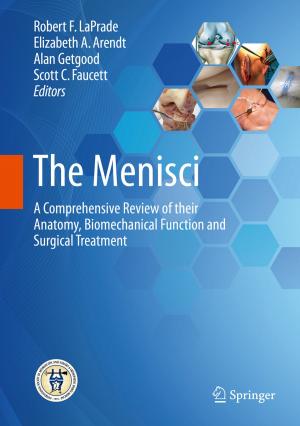 Cover of the book The Menisci by Sören Bartels