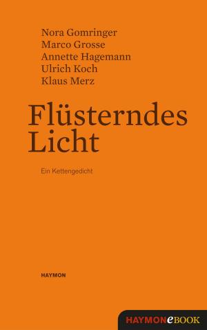 Cover of the book Flüsterndes Licht by Franz Tumler