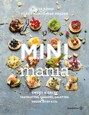 Cover of the book Mini Mania by Theresa Baumgärtner, Marina Jerkovic