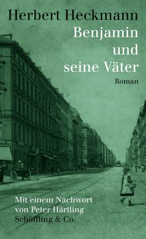 Cover of the book Benjamin und seine Väter by Sherwood Anderson, Mirko Bonné