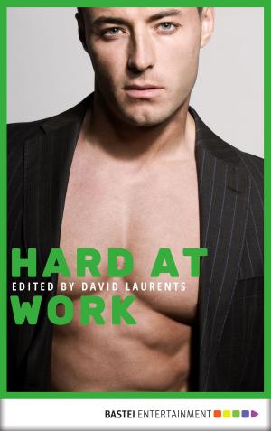 Cover of the book Hard at Work by Caroline Thanneck