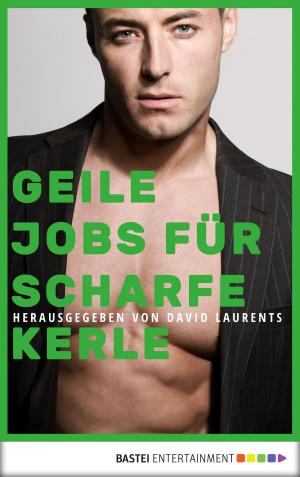 Book cover of Geile Jobs für scharfe Kerle