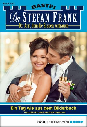 Cover of the book Dr. Stefan Frank - Folge 2381 by Mathilde Madden