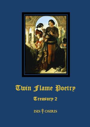 Cover of the book Twin Flame Poetry by Tobias Feith