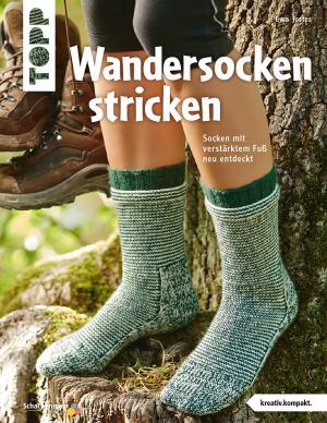 Book cover of Wandersocken stricken