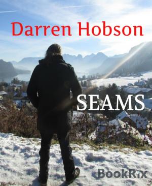 Cover of the book Seams by Dirk Harms