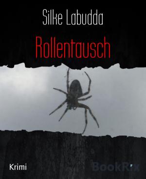 Book cover of Rollentausch