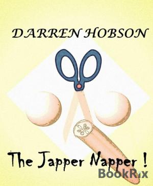 Book cover of The Japper Napper