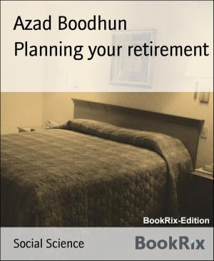 Cover of the book Planning your retirement by Daniel Bryant