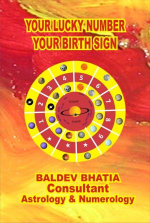 Cover of the book YOUR LUCKY NUMBER by Erin Bernstein, Kisari Mohan Ganguli