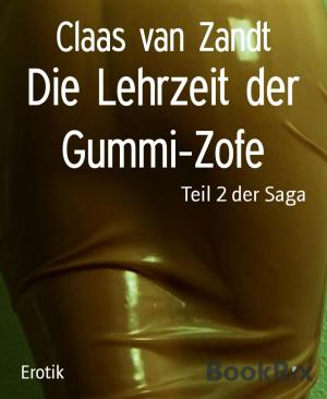 Cover of the book Die Lehrzeit der Gummi-Zofe by Emily Cummings