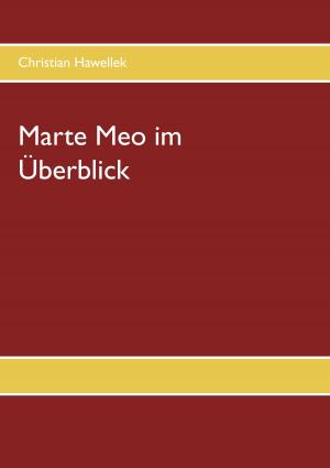 Cover of the book Marte Meo im Überblick by Stefan Wahle