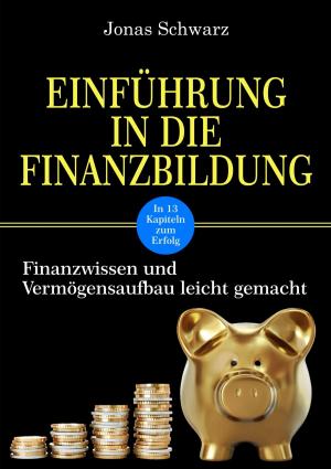 Cover of the book Einführung in die Finanzbildung by Martin Krenz