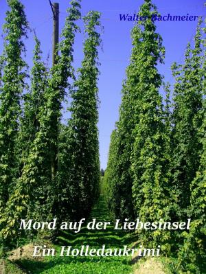 Cover of the book Mord auf der Liebesinsel by Helmut Höfling