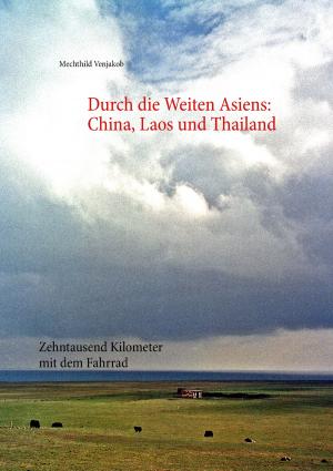 Cover of the book Durch die Weiten Asiens by Niels Brabandt